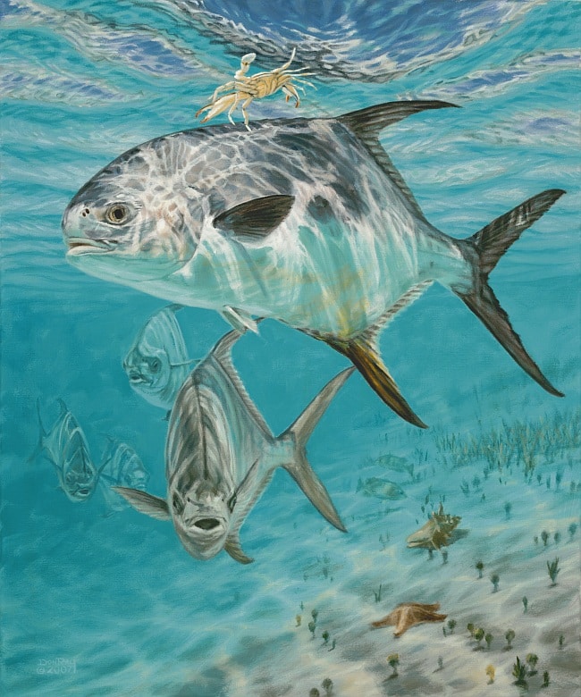 underwater permit art Don Ray marine fishing artist