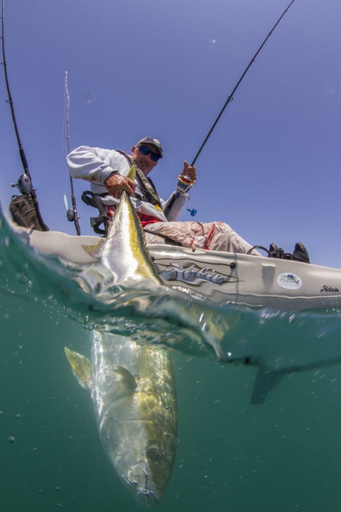 Kayak fishing Cedros Island, Baja -- trophy yellowtail