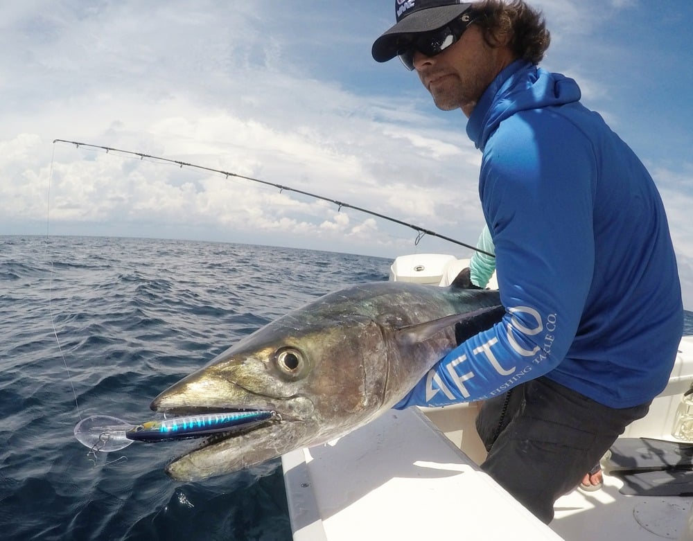 Big kingfish that ate a Rapala X-Rap Magnum 30.