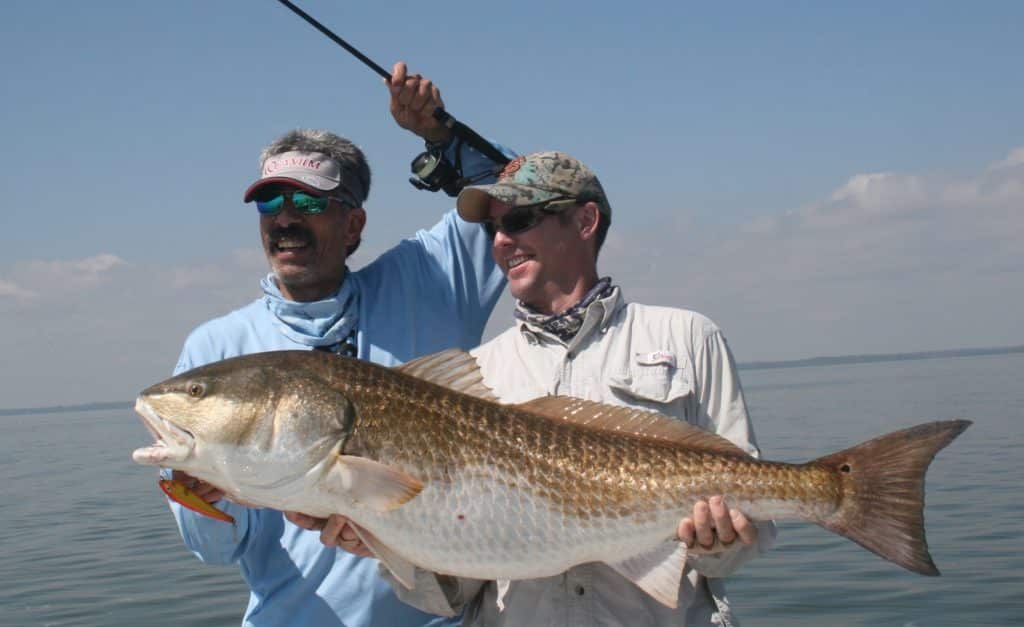 Two anglers holding a giant redfish caught fishing with a twitch bait lure