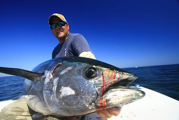 Bluefin Tuna Fishing Photo