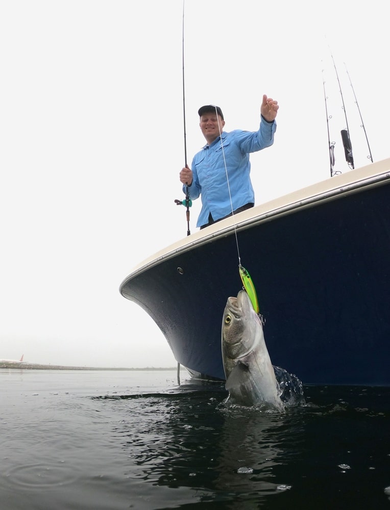 Popping for Bluefish on New York Flats