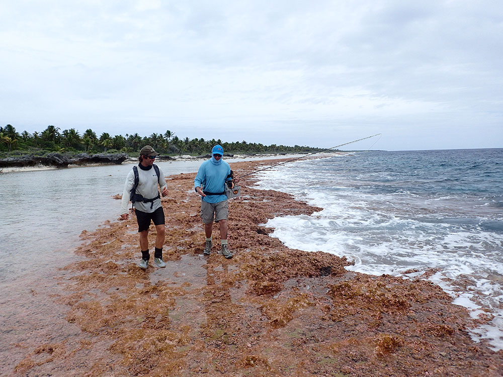 exposed reef anaa atoll