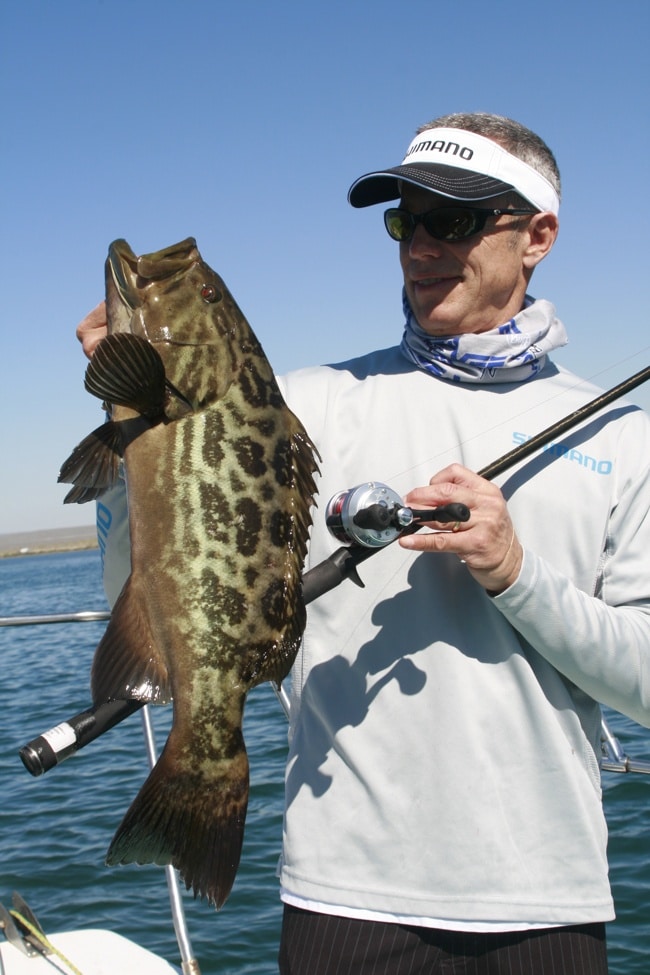 Fisherman holding estuarine grouper