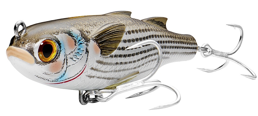 Top Three Fishing Lures for Redfish - BassPro Edition. #redfish #redfi