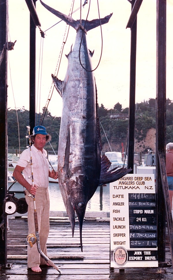 Striped marlin fish IGFA world-record deep sea fishing