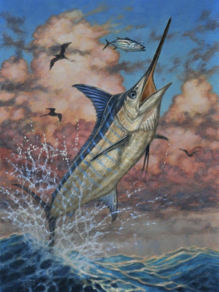jumping blue marlin skipjack bait art Don Ray marine fishing artist