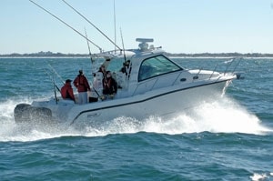 08whaler