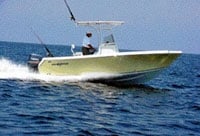 Sailfish 218