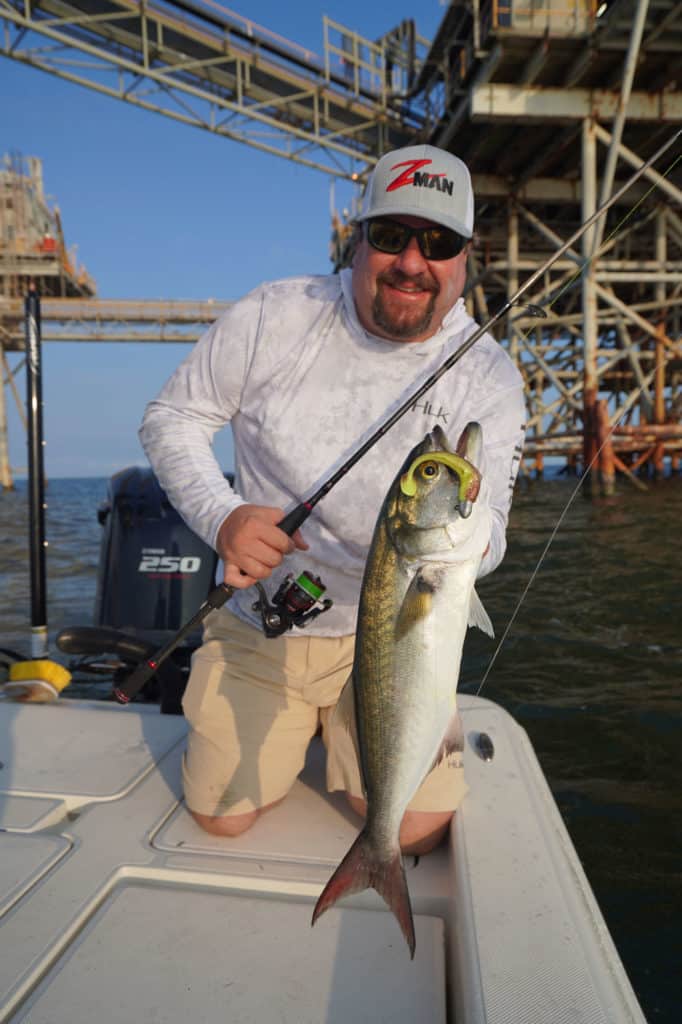 A good bluefish caught around a rig