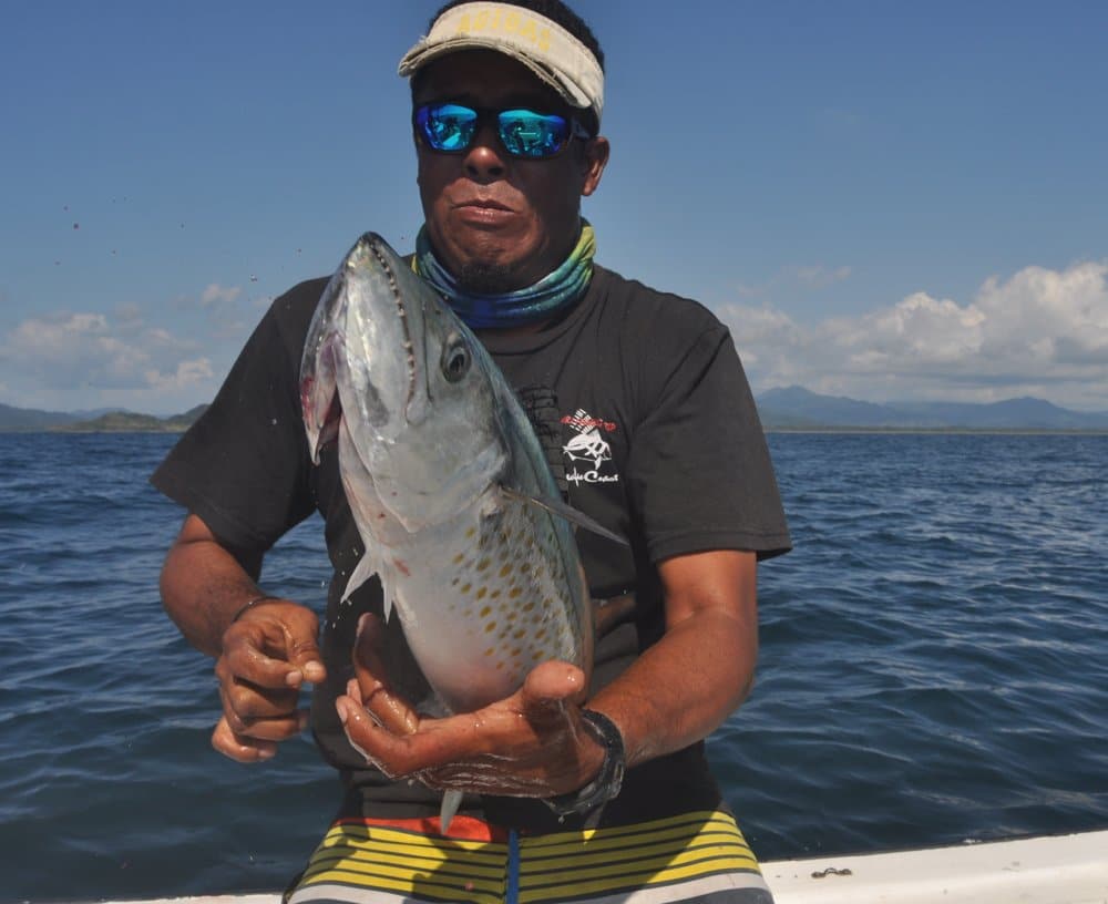 fish flipping in hands