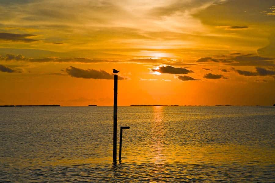 12_florida bay north of islamorada.jpg