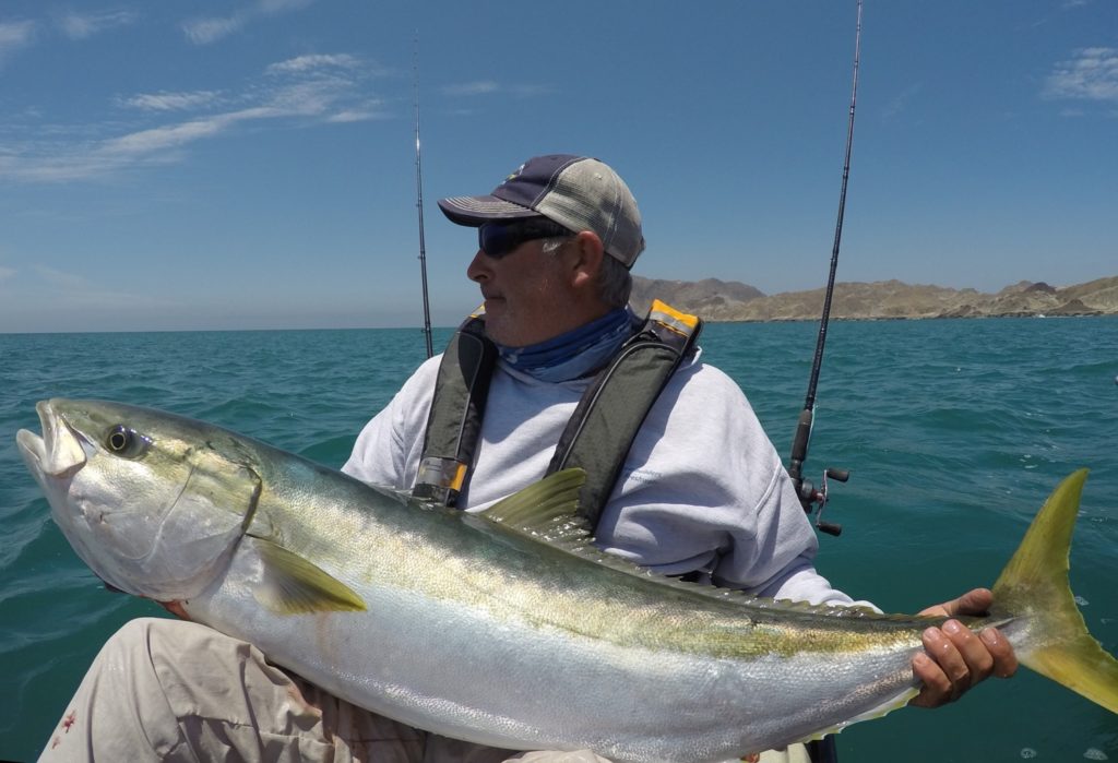 Kayak fishing Cedros Island, Baja -- yellowtail