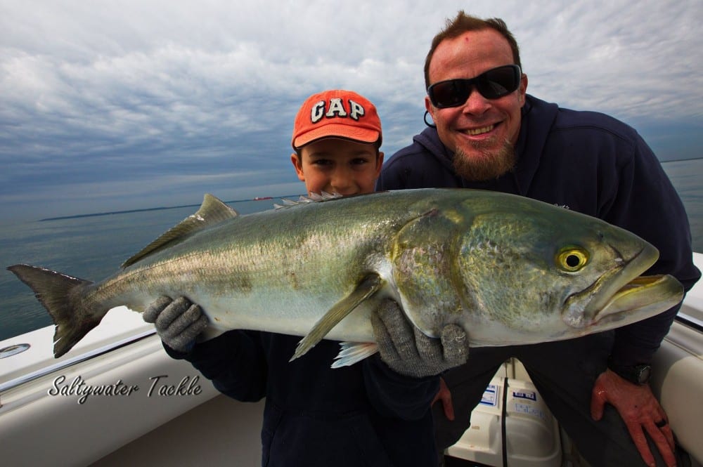 Huge bluefish caught off New York with Capt. John McMurray