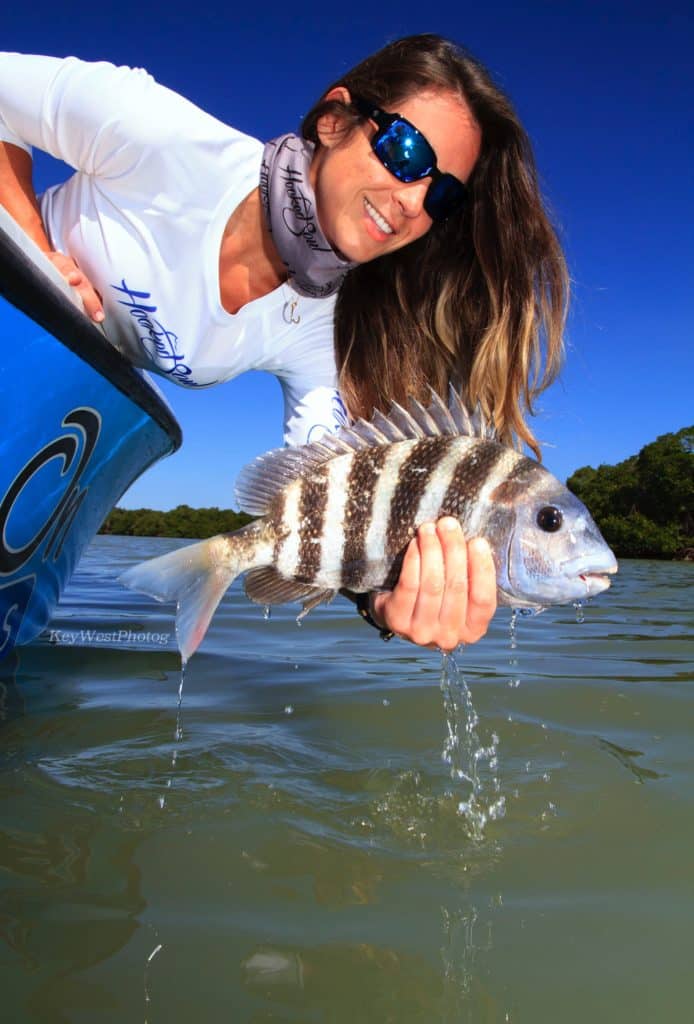 sheepshead release