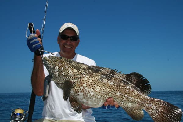 13 - malabar grouper, new caledonia.jpg