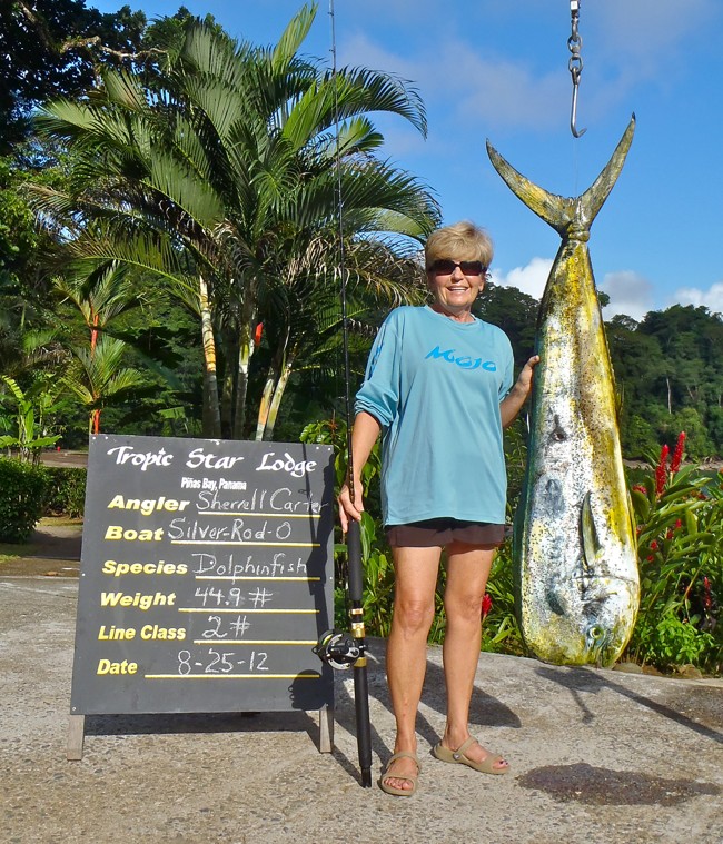 Dolphinfish mahimahi dorado fish IGFA world-record deep sea fishing