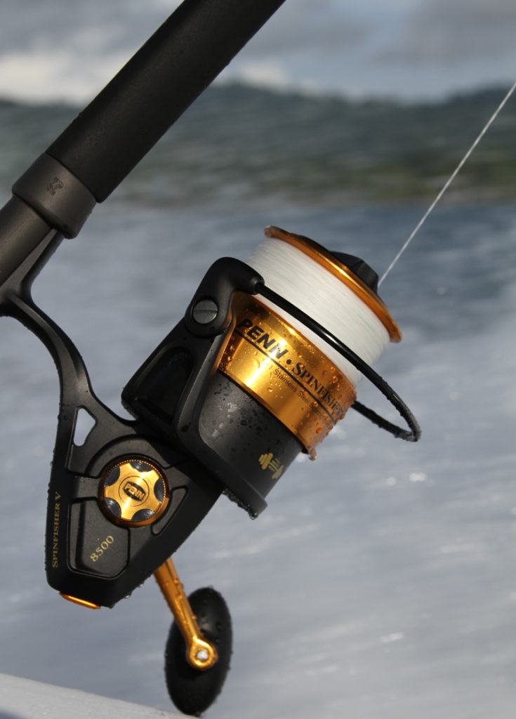 When to Use Conventional or Spinning Reel When Saltwater Fishing –  FishVerify
