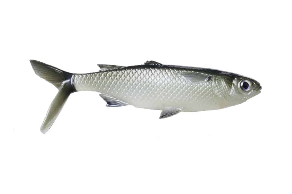 13 Fishing’s The Mullet new lure