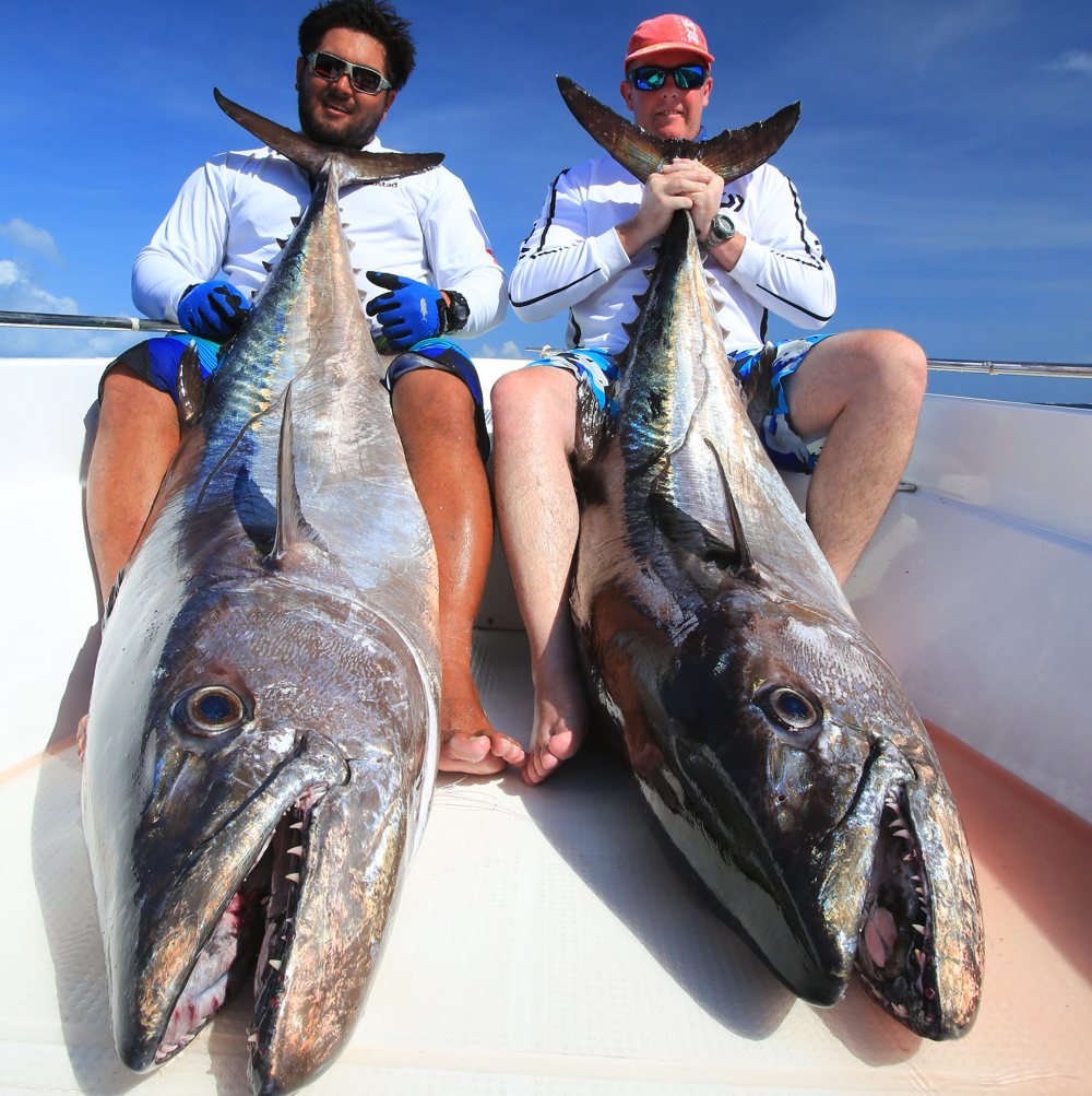 Anglers holding 70-kg and 80-kg dogtooth tuna