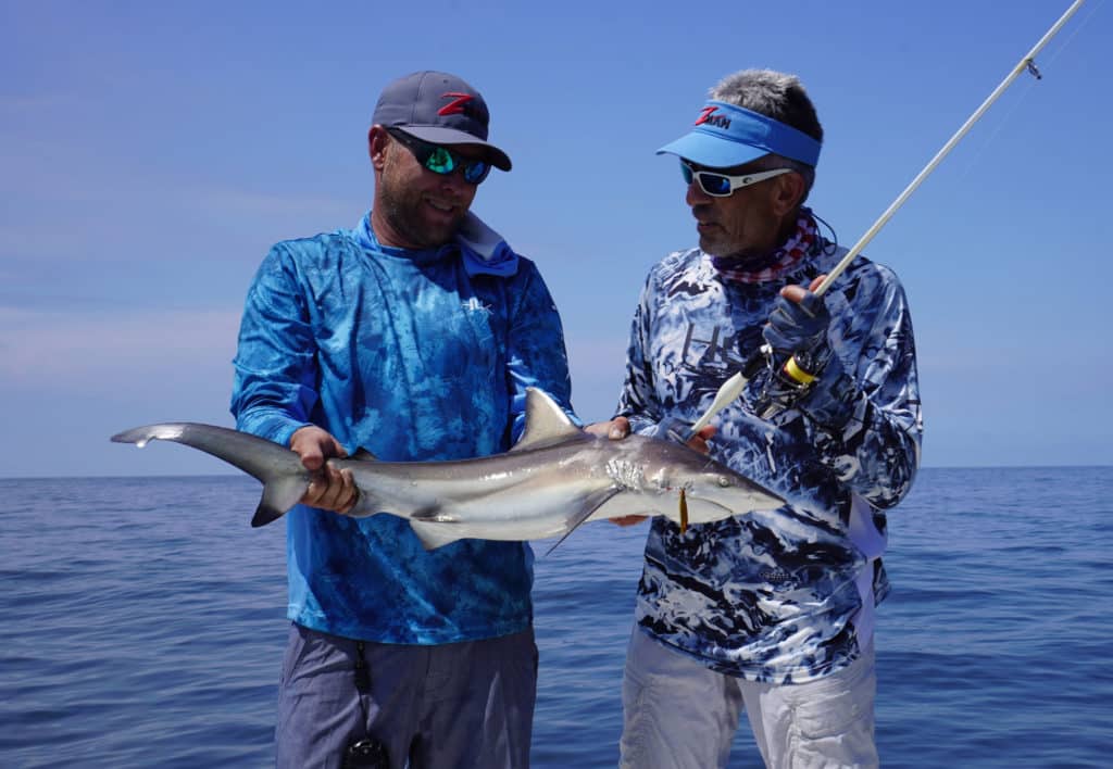 A blacktip shark put up an exciting fight