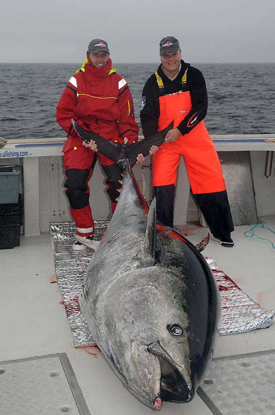 Fishermen holding giant bluefin tuna fish on deep sea fishing boat