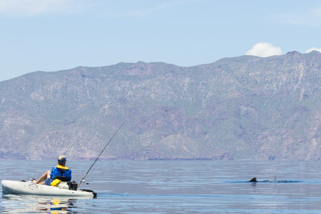 saltwater kayak fishing Baja's central Sea of Cortez near Loreto