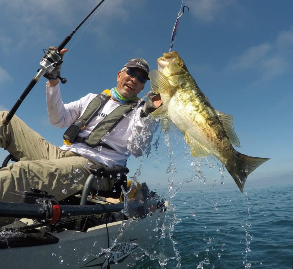 Kayak fishing Cedros Island, Baja -- angler lands a fat calico bass