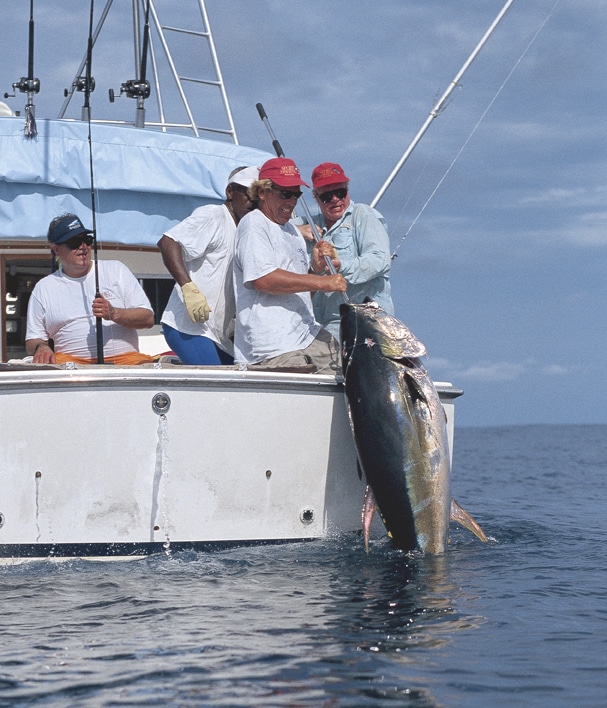 Angler landing yellowfin tuna fishing Panama
