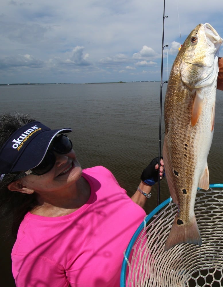Light-tackle red drum pleases angler