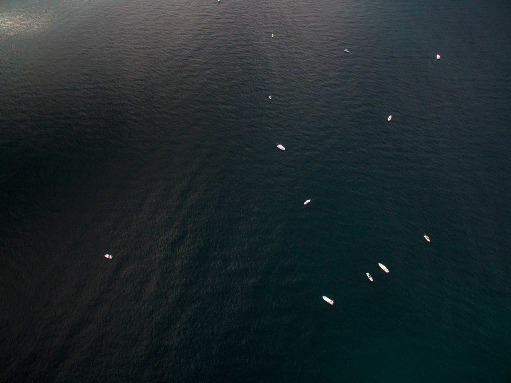 Catching Kingfish Off Cape Canaveral, Florida