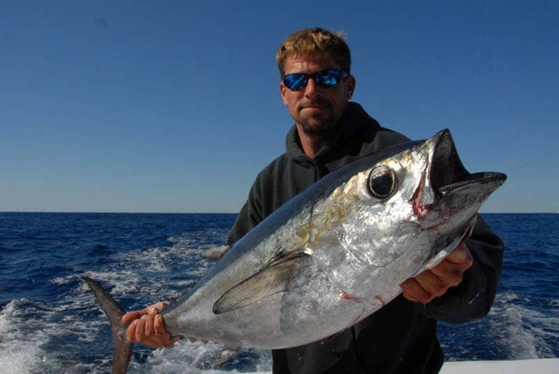 Busting up Blackfin out of Oregon Inlet