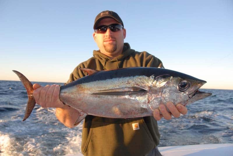 Busting up Blackfin out of Oregon Inlet