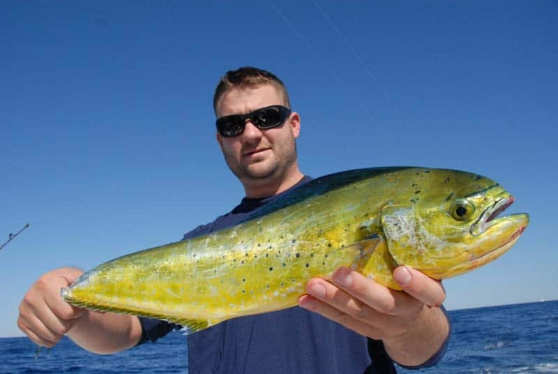 Busting up Blackfin out of Oregon Inlet