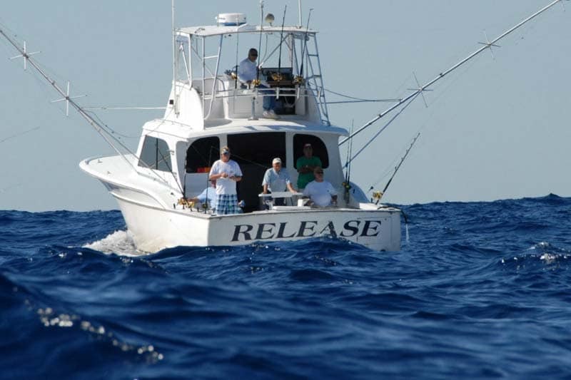 Busting up Blackfin out of Oregon Inlet