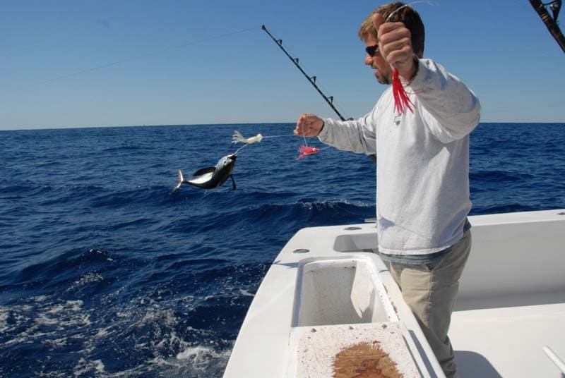 Busting up Blackfin out of Oregon Inlet