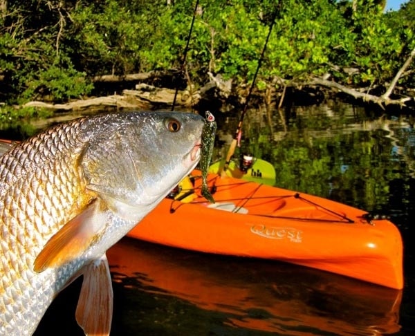 Indian River Lagoon Flats