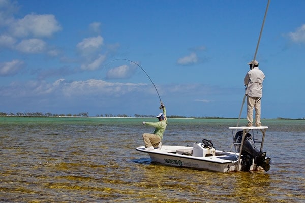 Bimini Bonefishing