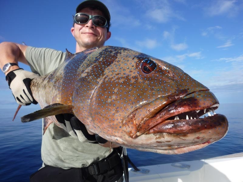 New Caledonia's Big Fish