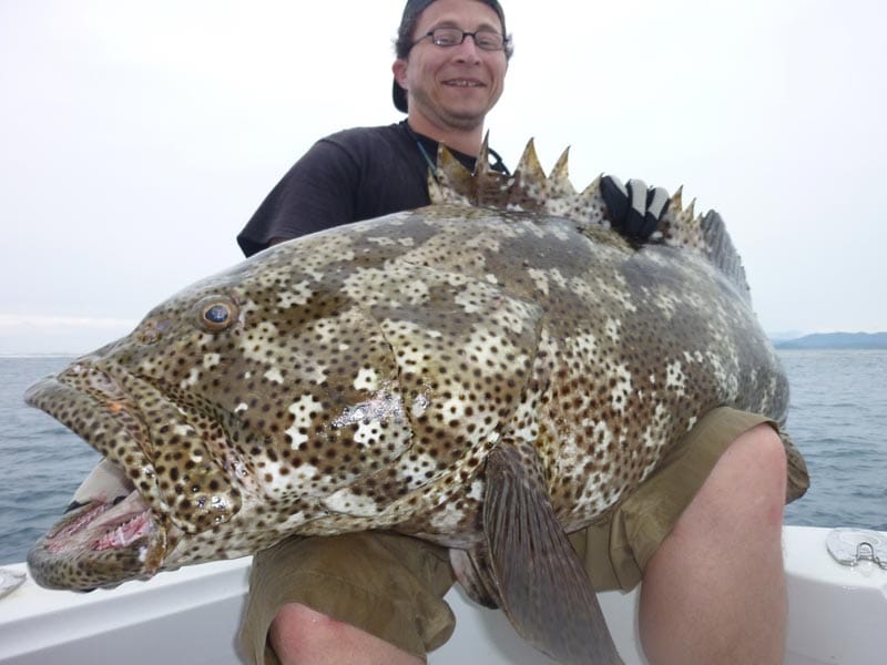 New Caledonia's Big Fish