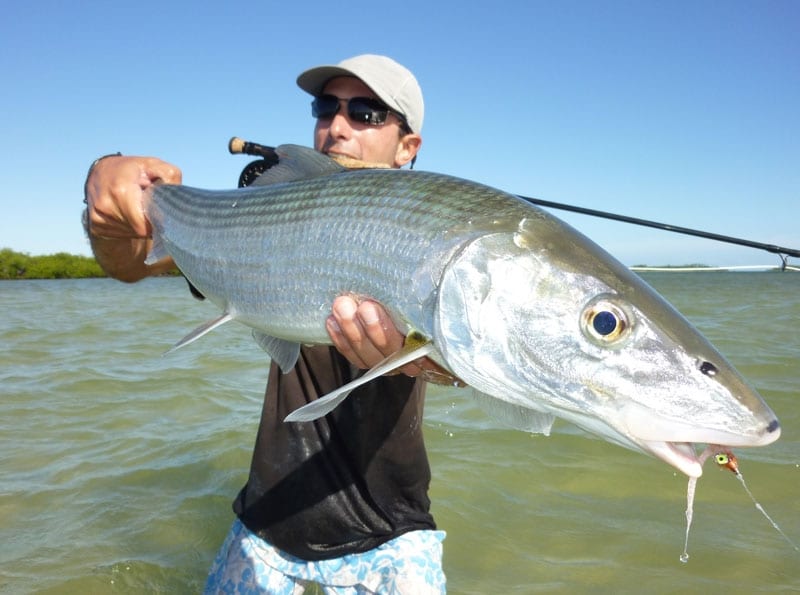 New Caledonia's Big Fish