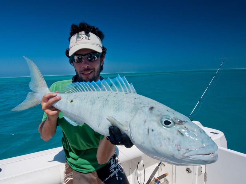 New Caledonia's Big Fish