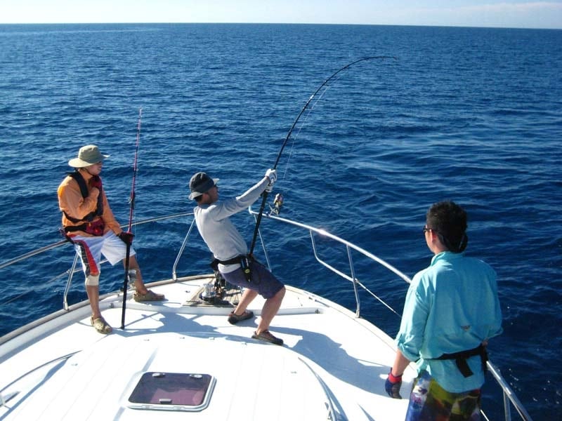 New Caledonia's Big Fish