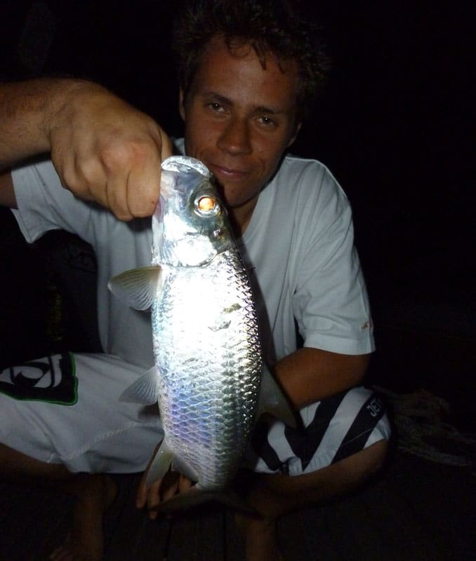New Caledonia's Big Fish