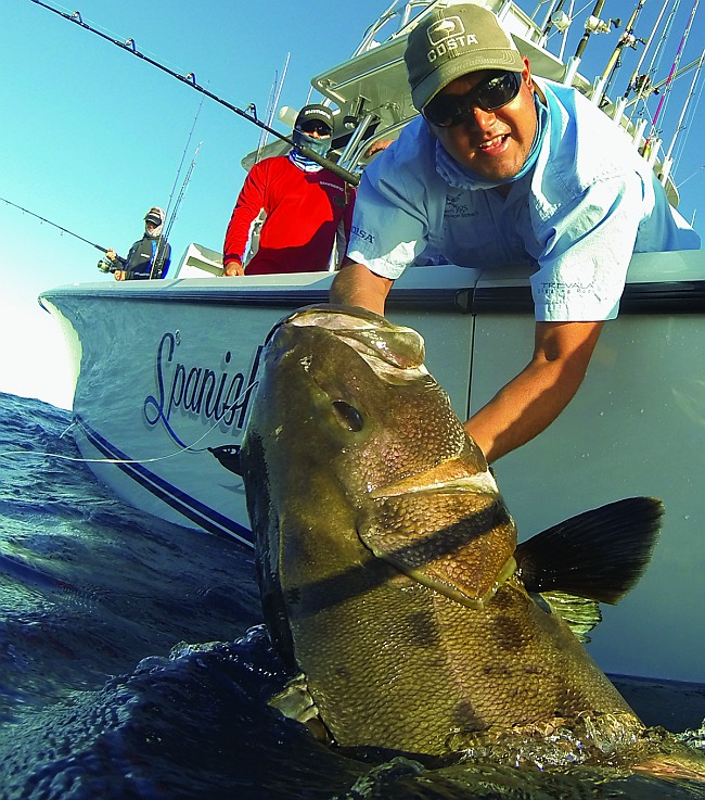 Angler releasing giant sea bass deep sea fishing