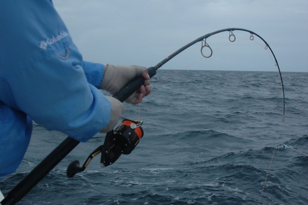 Fisherman reeling in a saltwater spinning reel