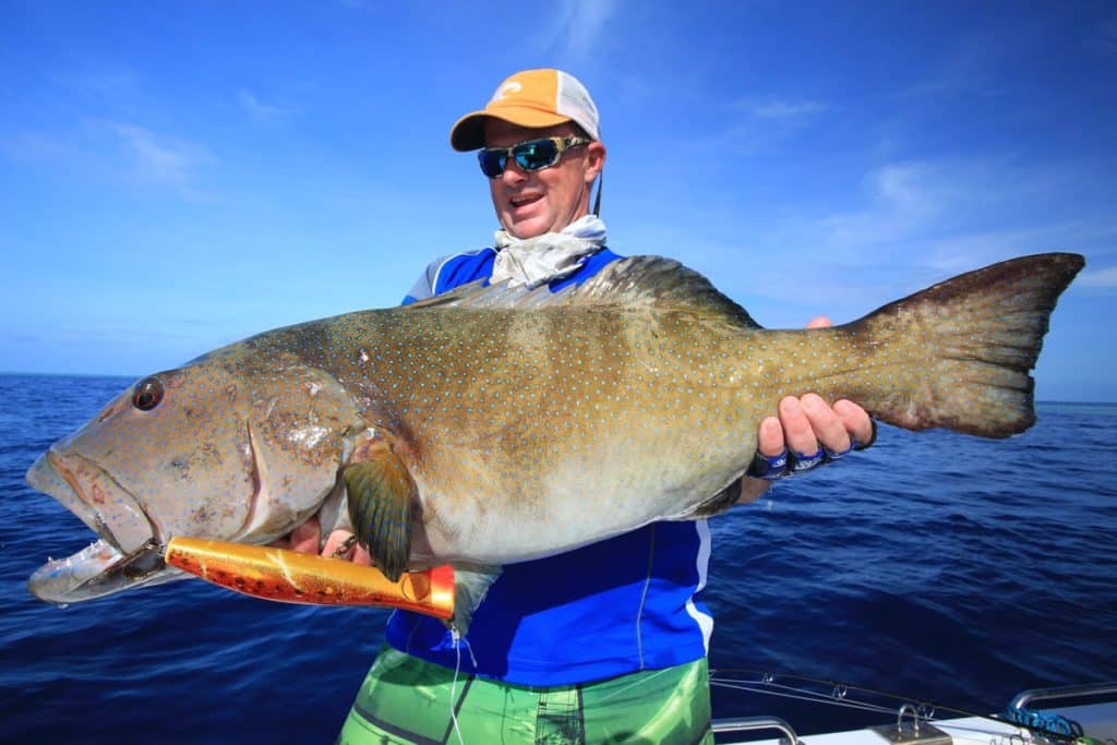 Stomper trout caught fishing with a Halco Roosta.