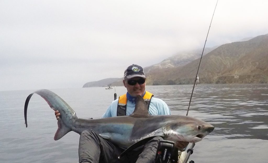 Kayak fishing Cedros Island, Baja -- thresher shark on the kayak