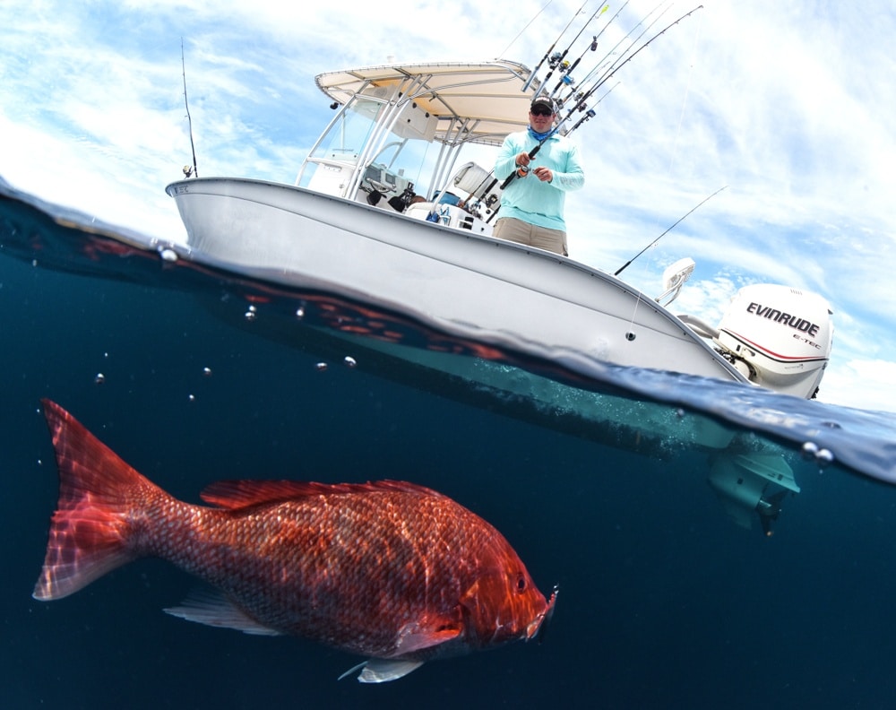 Split view shows red snapper underwater and angler in boat