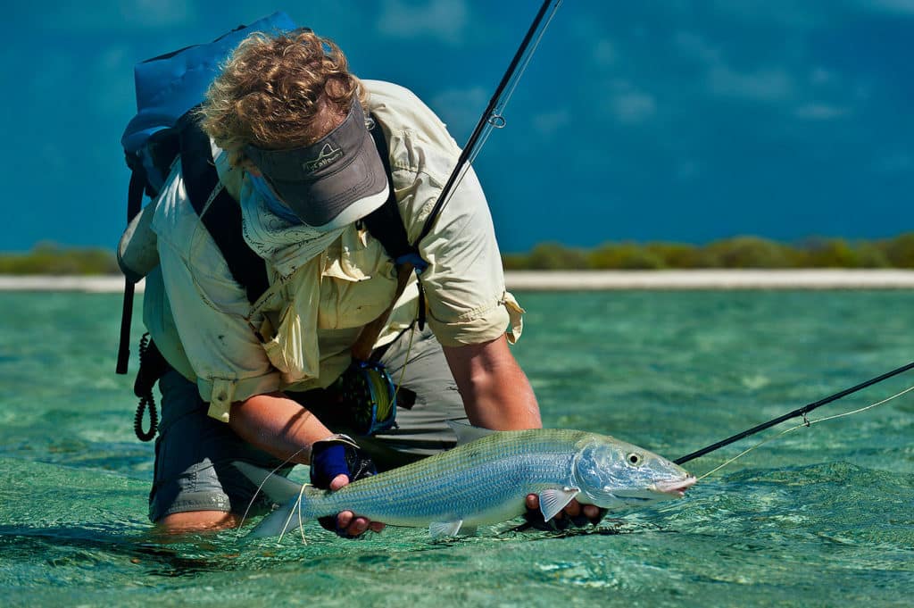 Dazzling fishing photography of Henry Gilbey - releasing an Indian Ocean bonefish